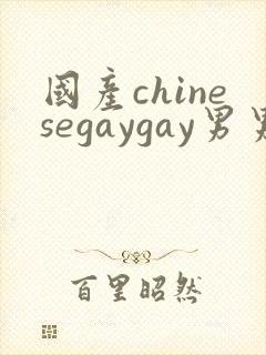 国产chinesegaygay男男网站