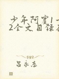 少年阿宾1一72全文目录在线