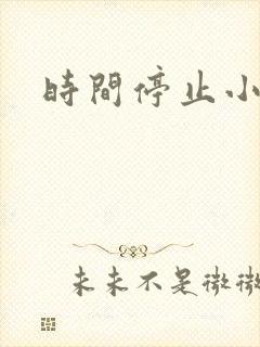 时间停止小说