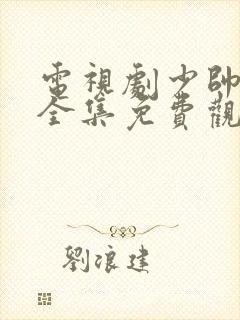 电视剧少帅48全集免费观看在线云