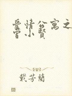 爱情公寓之极品曾小贤封面