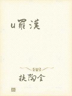 u罗汉封面