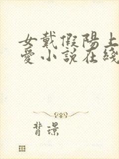 女戴假阳上男四爱小说在线阅读最新