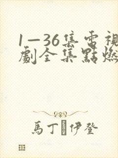 1—36集电视剧全集点燃我温暖你