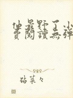 他最野了小说免费阅读无弹窗