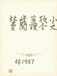 林峰宁欣小说免费阅读全文最新章节宁饮