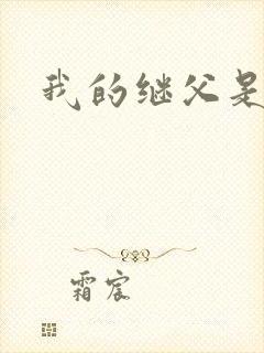 我的继父是偶像