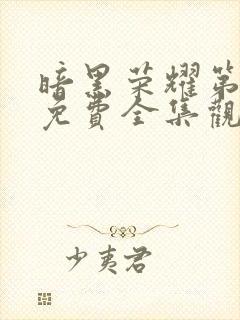 暗黑荣耀第二季免费全集观看高清