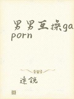 男男互操gayporn