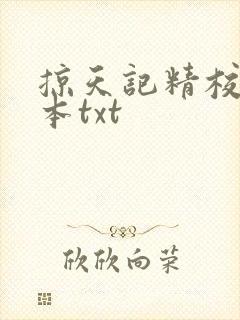 掠天记精校版全本txt