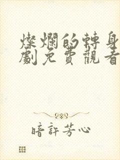 灿烂的转身电视剧免费观看全集高清