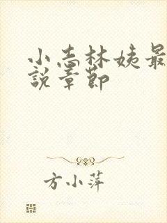 小志林姨最新小说章节