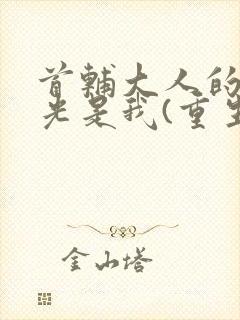 首辅大人的白月光是我(重生)