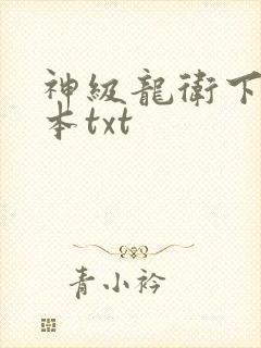 神级龙卫下载全本txt