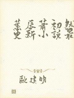 叶辰萧初然最快更新小说最新