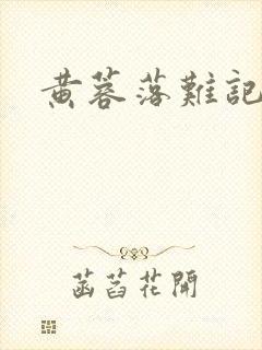 黄蓉落难记封面