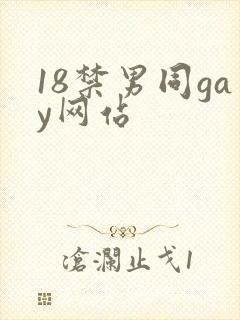 18禁男同gay网站
