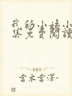 我的小姨小说全集免费阅读无弹窗