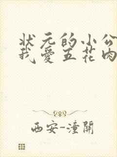 状元的小公主(我爱五花肉)