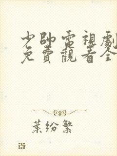 少帅电视剧超清免费观看全集在线播放