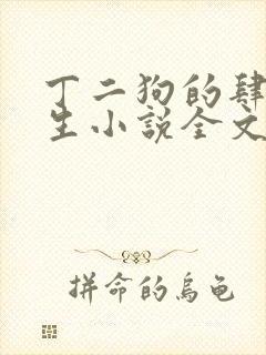 丁二狗的肆意人生小说全文无删减