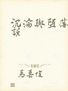 沉沦与堕落的小说封面