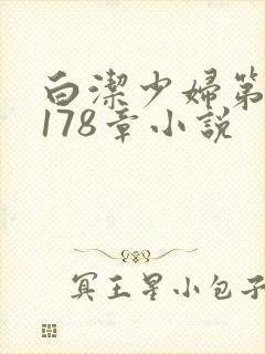 白洁少妇第1一178章小说