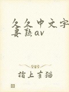 久久中文字幕人妻熟av