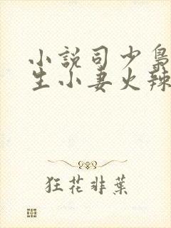 小说司少枭宠重生小妻火辣辣