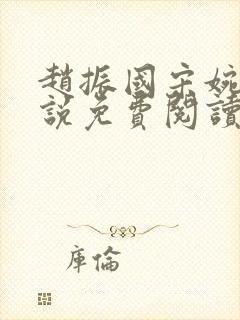 赵振国宋婉清小说免费阅读封面