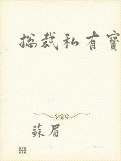 总裁私有宝贝封面