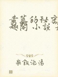 黄蓉的秘密 笔趣阁 小说 最新章节在线阅读