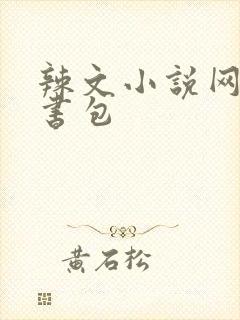 辣文小说网第二书包