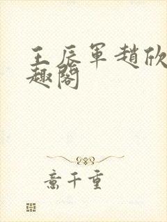 王辰军赵欣雅笔趣阁封面