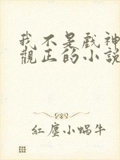 我不是戏神是三观正的小说吗