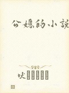 公媳的小说