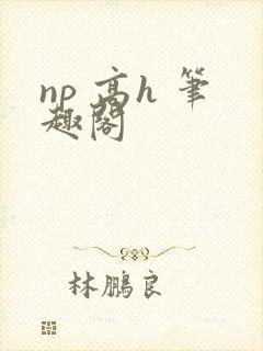 np 高h 笔趣阁