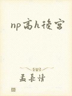 np高h后宫