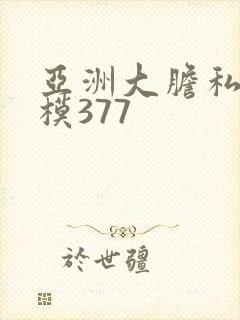 亚洲大胆私拍国模377