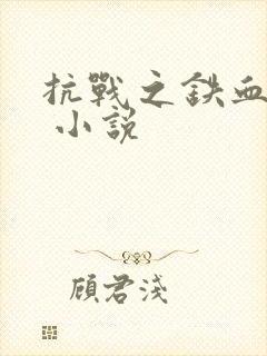 抗战之铁血救国 小说