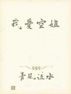 我爱空姐