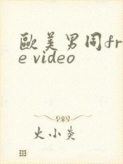 欧美男同free video