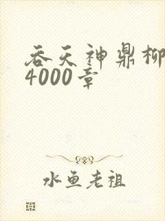 吞天神鼎柳无邪4000章
