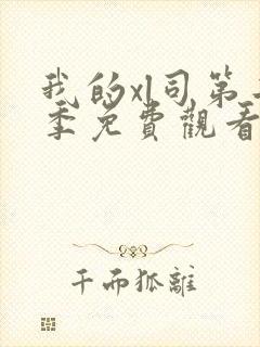 我的xl司第二季免费观看全集动漫