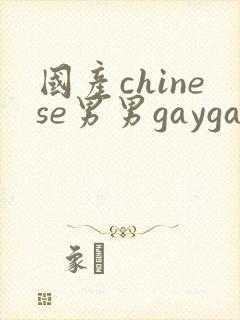 国产chinese男男gaygay视频网站