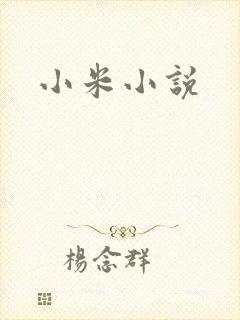 小米小说封面