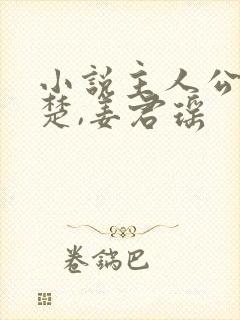 小说主人公叫叶楚,姜君瑶