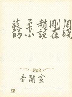 苏柔赵刚周明权的小说在线阅读全文最新