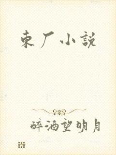 东厂小说