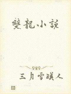 双龙小说